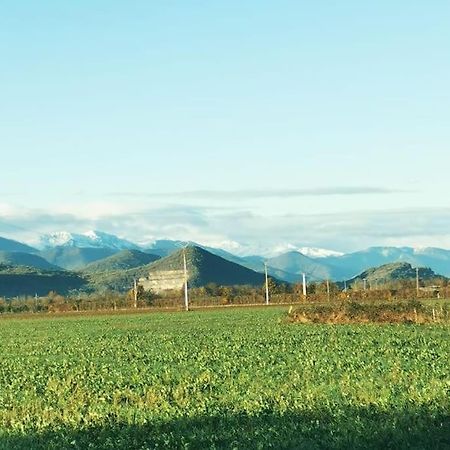 Pointis-de-RiviereT3 Au Pied Des Pyreneesアパートメント エクステリア 写真