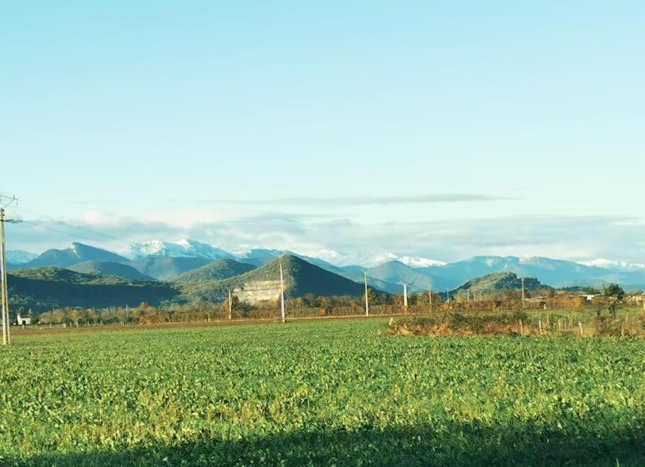Pointis-de-RiviereT3 Au Pied Des Pyreneesアパートメント エクステリア 写真